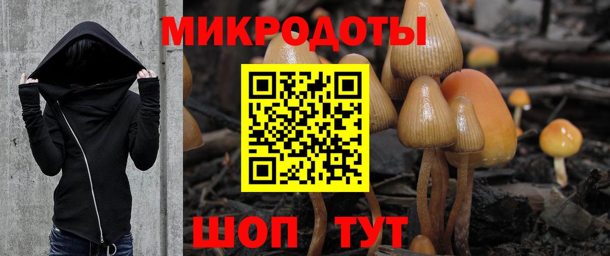 Псилоцибиновые грибы Magic Shrooms Шелехов